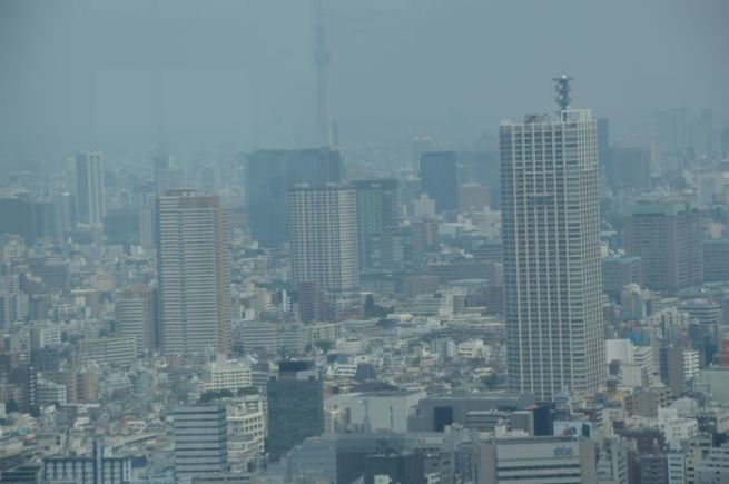 a0335262_22033807.jpg