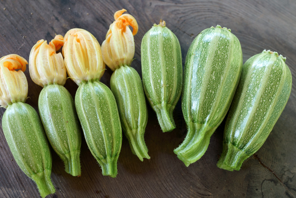夏野菜の収穫始めます_d0231263_2212360.jpg