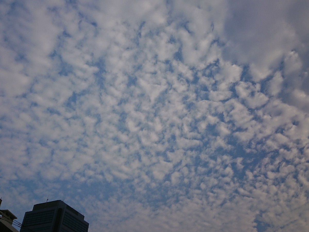 おはようモーニング_c0100865_05422738.jpg
