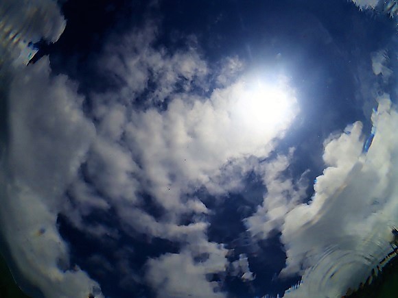 e0132965_18431555.jpg