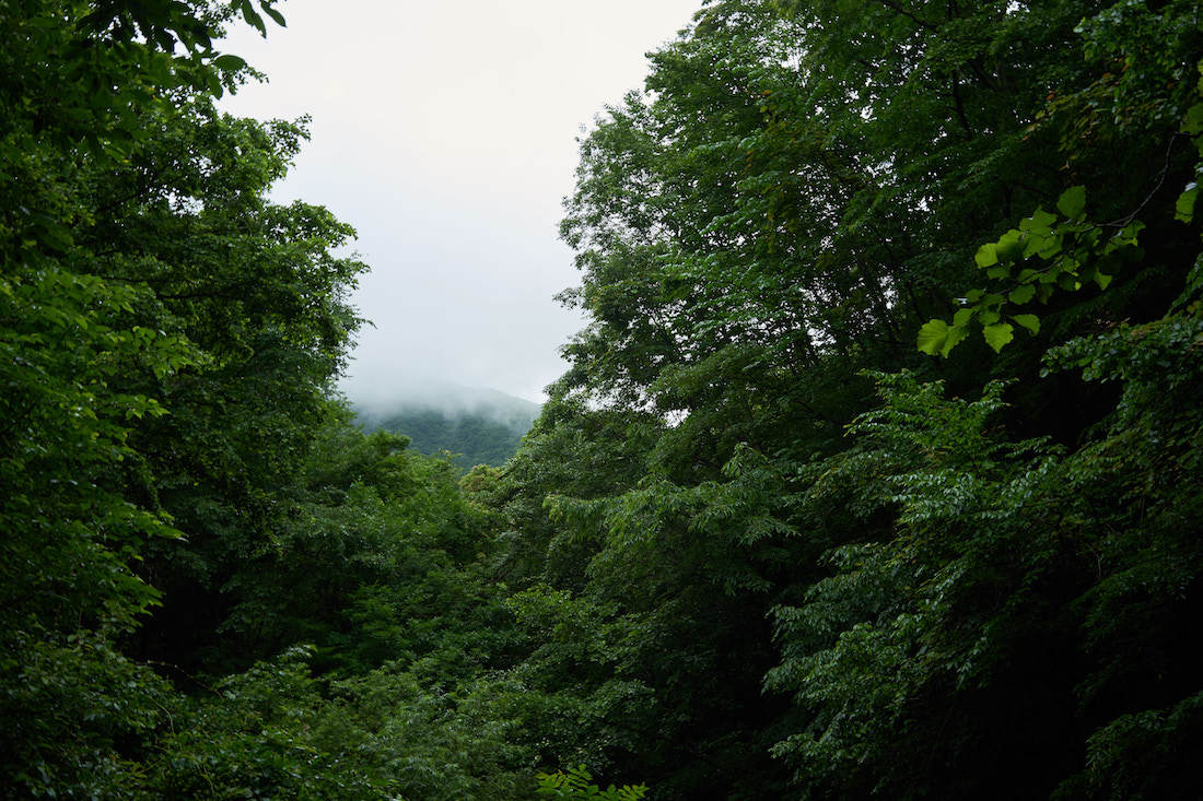 d0175768_09215902.jpg