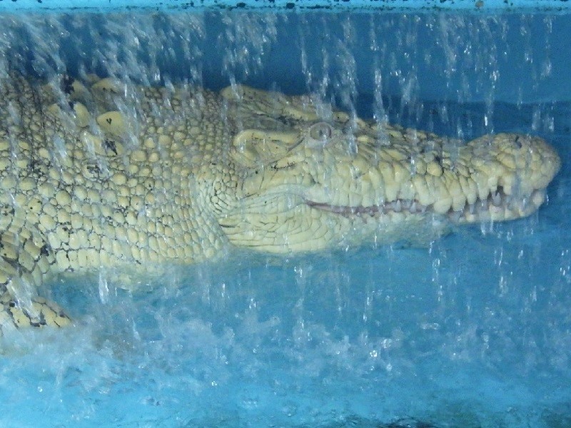 c0105569_00295153.jpg