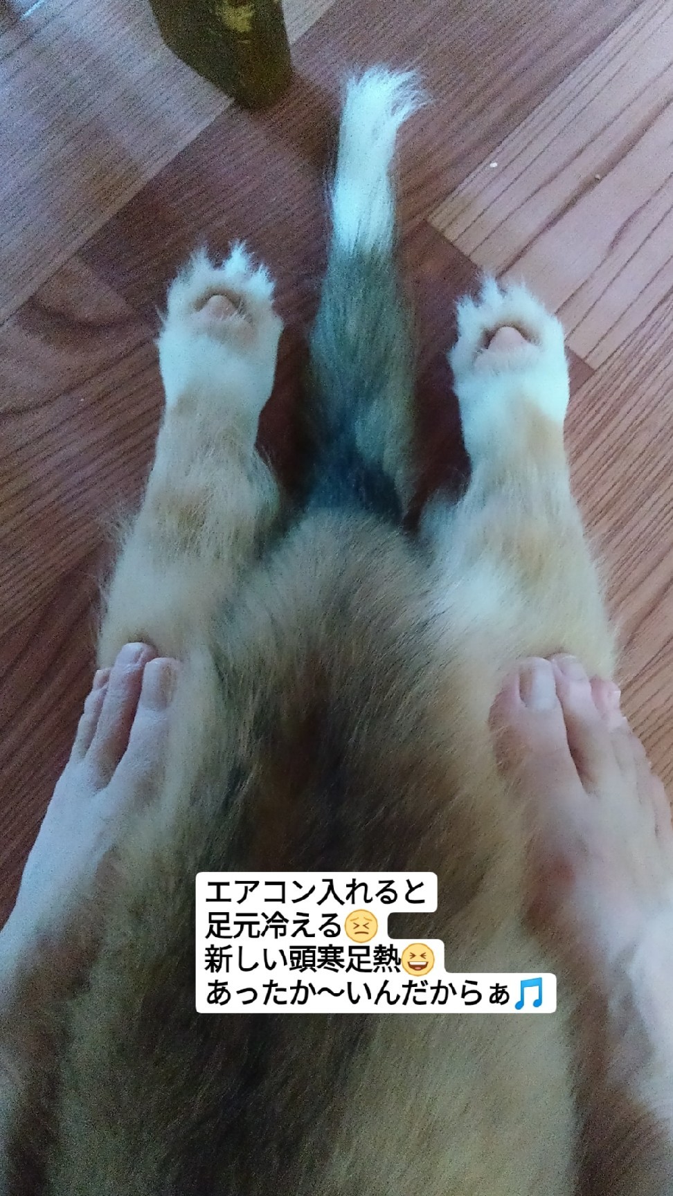 大きくなりました(*^-^*)_f0136675_00090145.jpg