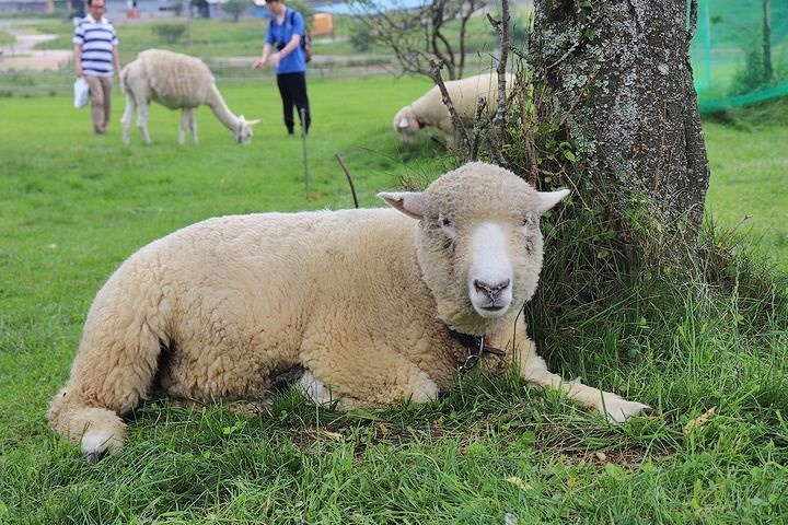 ③動物とふれあってみる？_b0111376_14301666.jpg