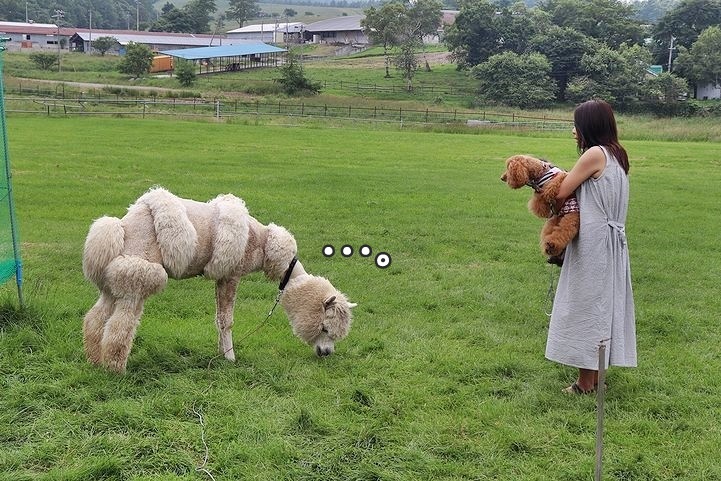 ③動物とふれあってみる?_b0111376_14375925.jpg