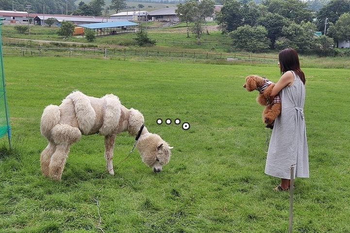 ③動物とふれあってみる？_b0111376_14375925.jpg