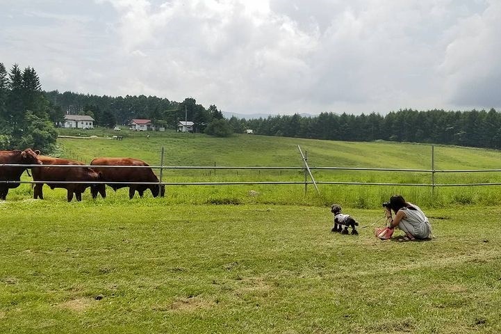 ③動物とふれあってみる?_b0111376_15084288.jpg