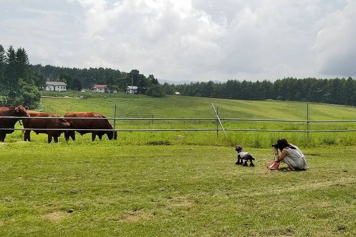 ③動物とふれあってみる？_b0111376_15084288.jpg