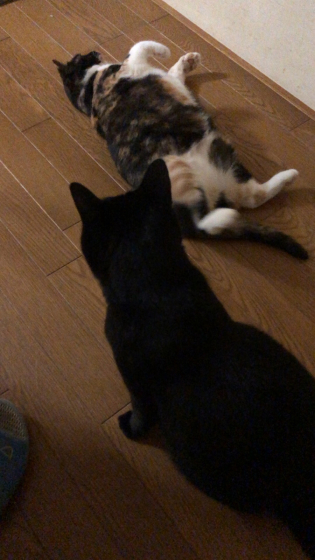 振り返ってみました②_e0355177_13210358.jpg