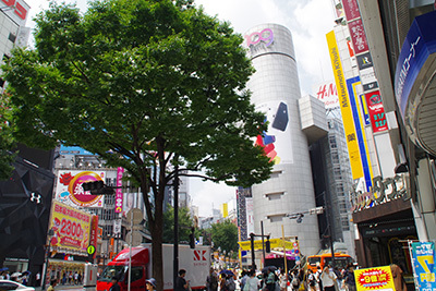 b0056983_13583287.jpg