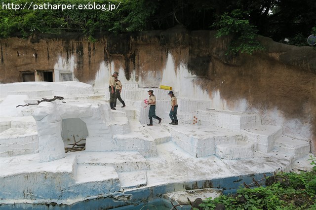 ２０１９年７月　天王寺動物園　その２_a0052986_7534881.jpg