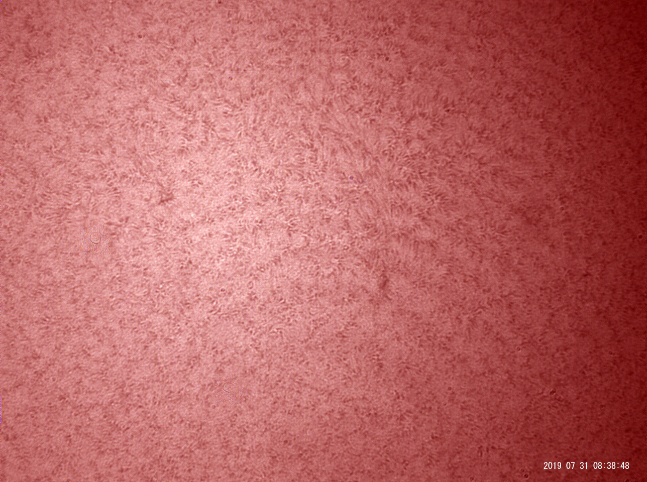 7月31日の太陽_e0174091_09555871.jpg