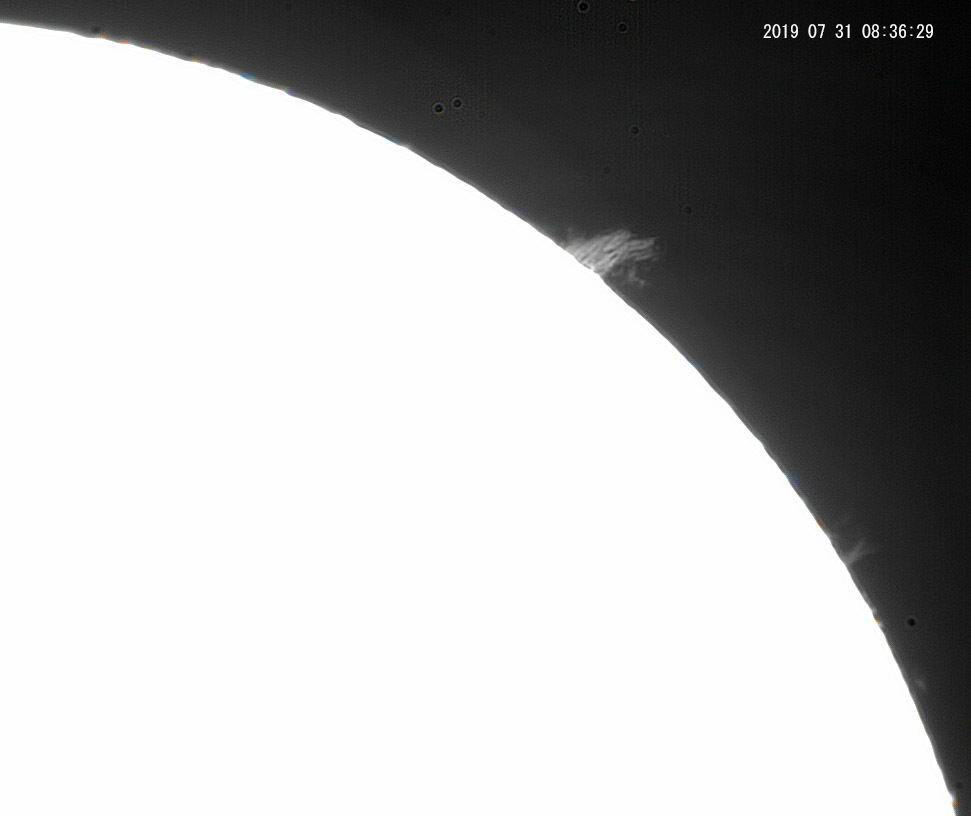 7月31日の太陽_e0174091_09560503.jpg