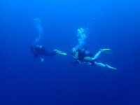 f0079996_15321942.jpg