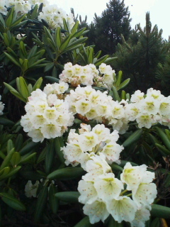 b0214800_09142946.jpg