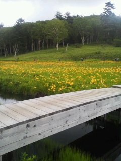 b0214800_09153476.jpg
