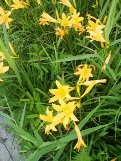 b0214800_09161117.jpg