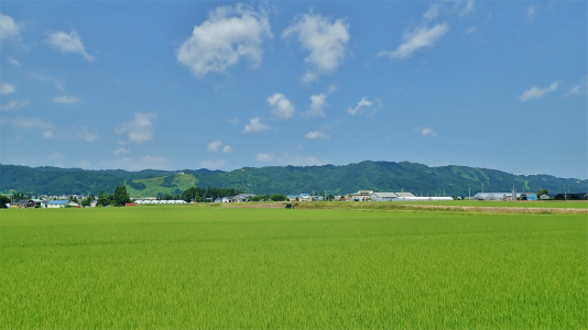 c0336902_21092399.jpg