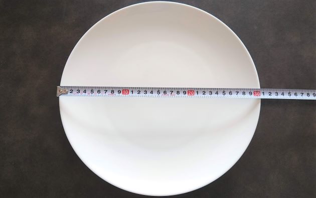 ニトリ 直径30cmの大皿 美的生活研究所