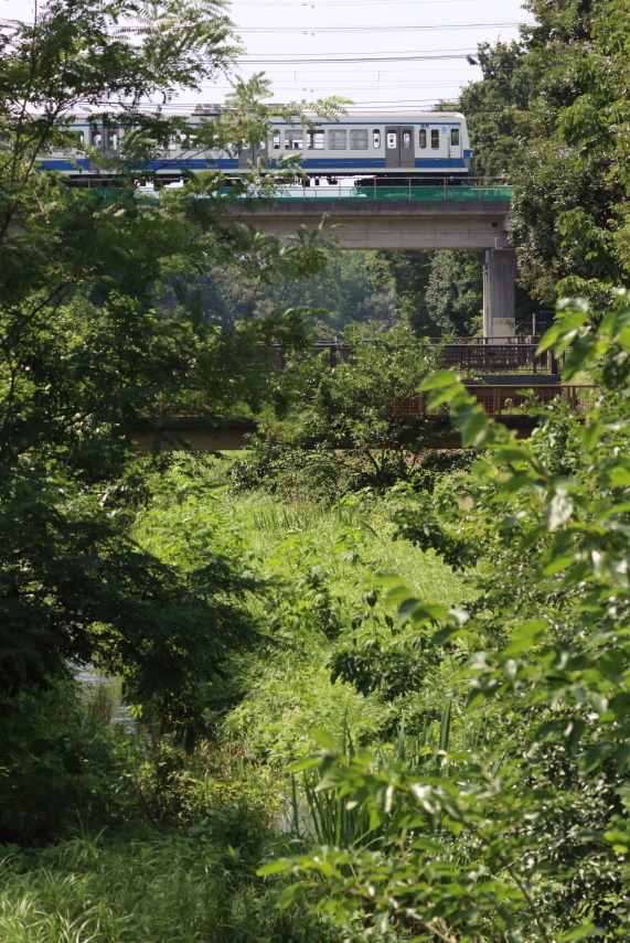 野川公園お散歩_b0190710_21223821.jpg
