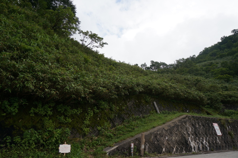 d0359010_18543576.jpg