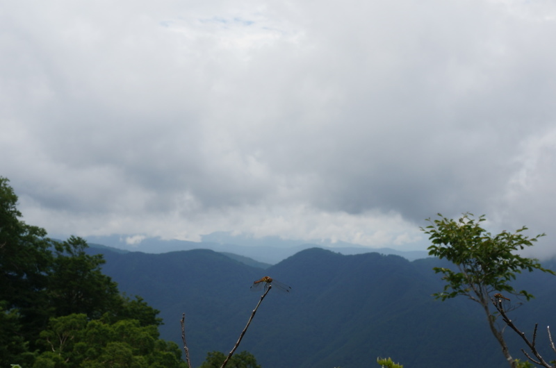 d0359010_18553989.jpg