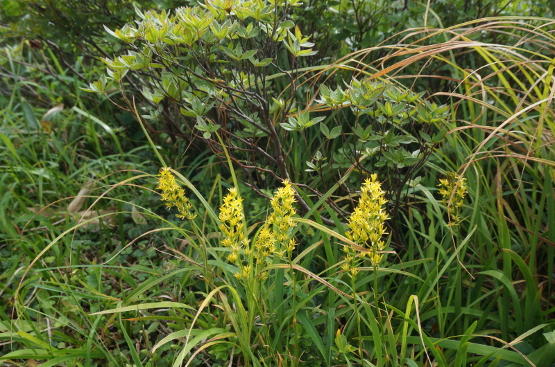 d0359010_18555259.jpg