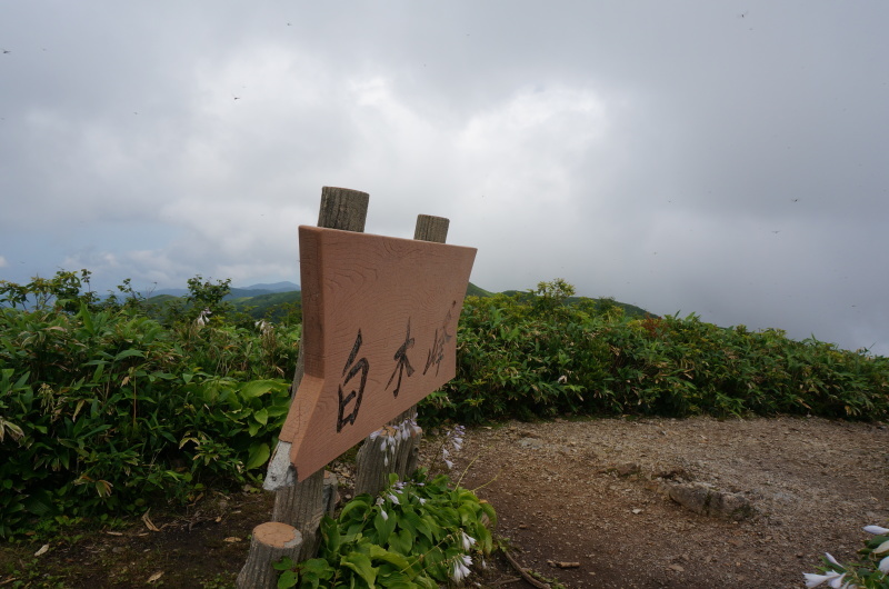 d0359010_18561123.jpg
