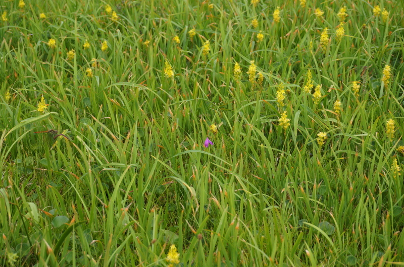 d0359010_18581895.jpg