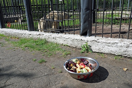 ボリシェリェーチェ動物園訪問二日目 ~ グーリャ (Гуля) の規則正しい生活、そしてその楽しみ方_a0151913_29925.jpg