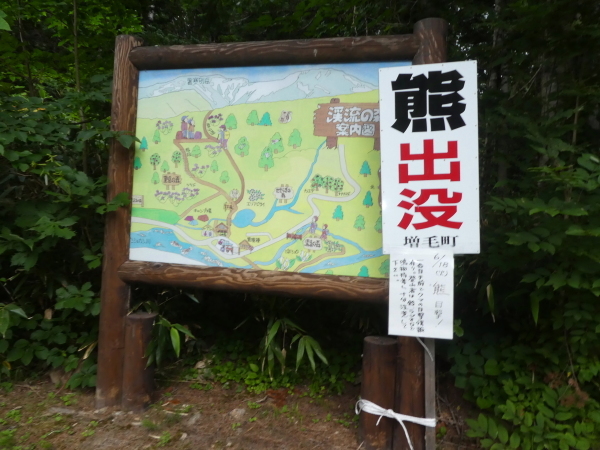 d0170615_07125099.jpg
