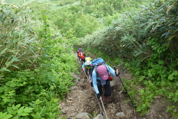 d0170615_07145858.jpg