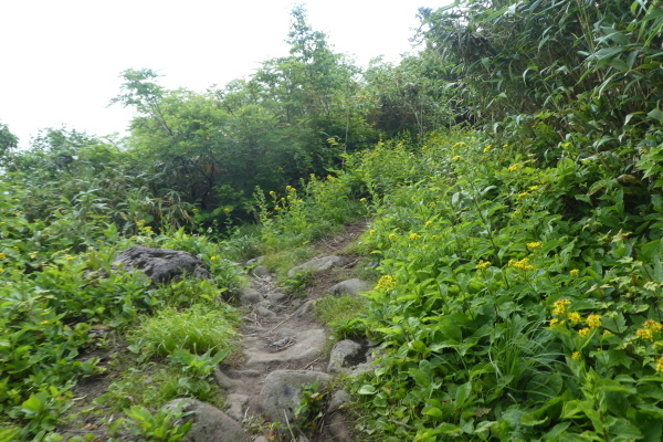 d0170615_07150762.jpg