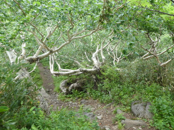 d0170615_17401125.jpg