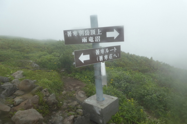 d0170615_17420359.jpg