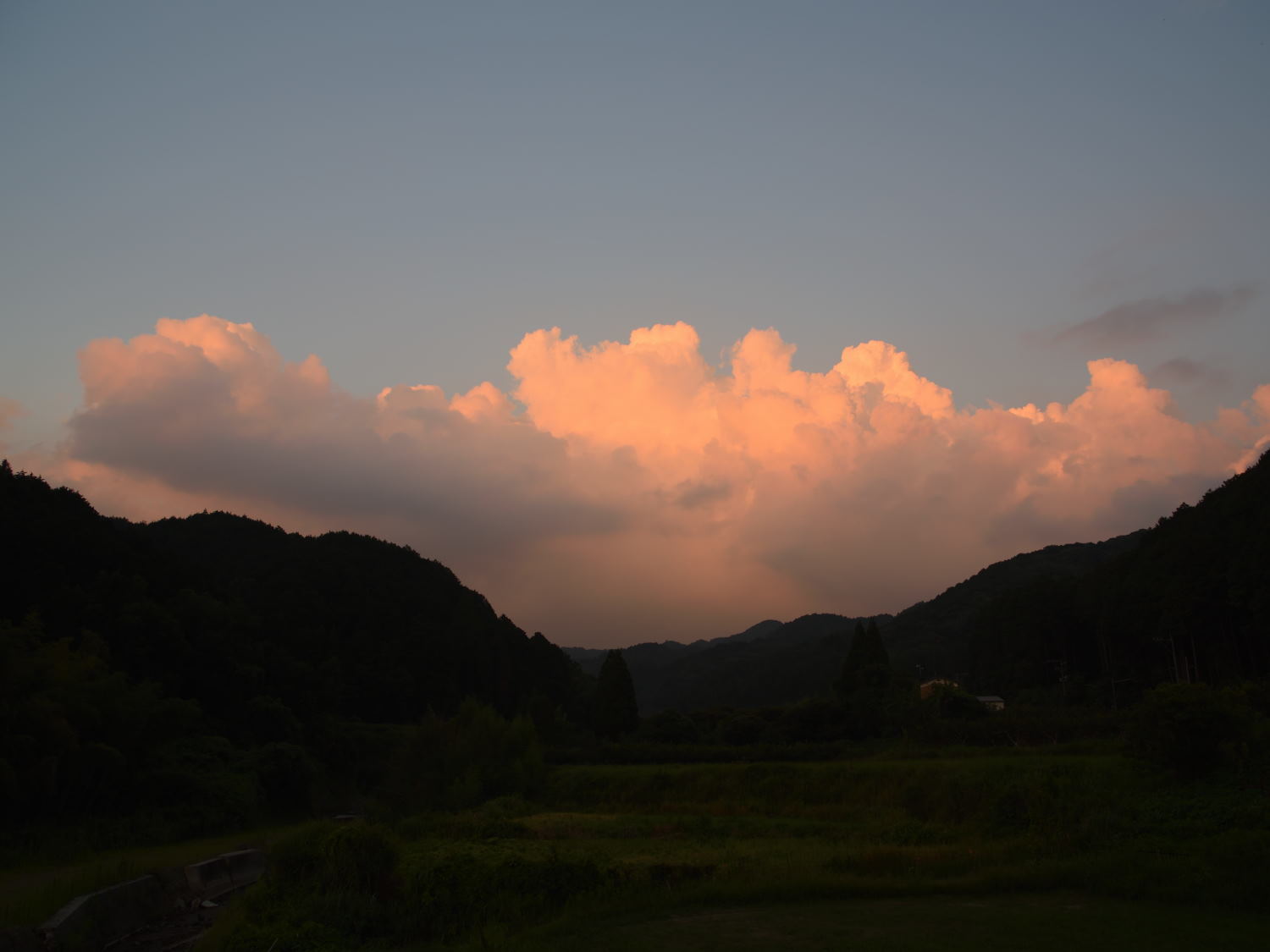 d0355116_20151521.jpg