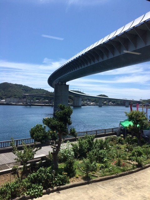 2019/7/28 天草リターン No.2_a0110720_16375751.jpg