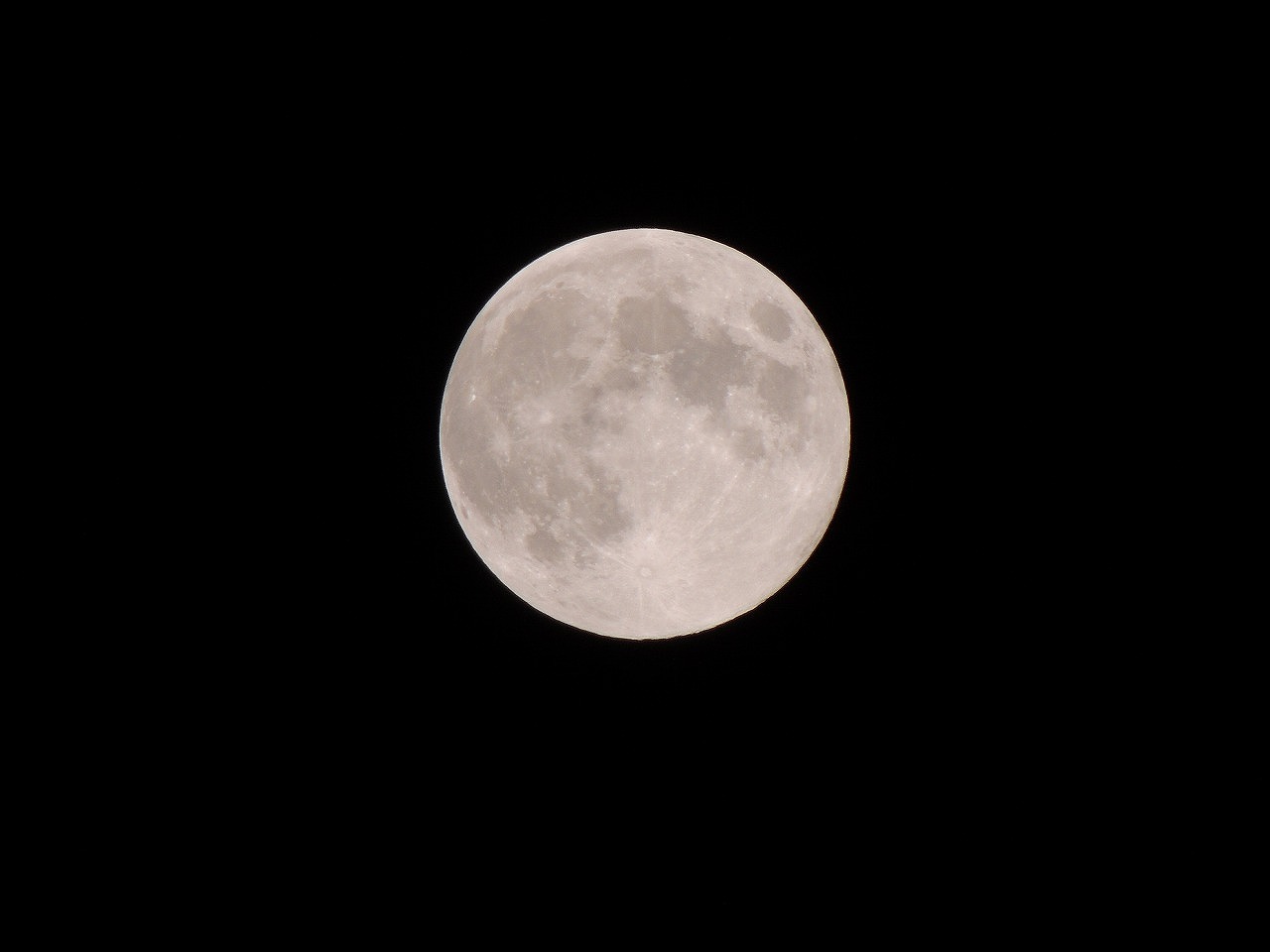 b0162728_1636828.jpg