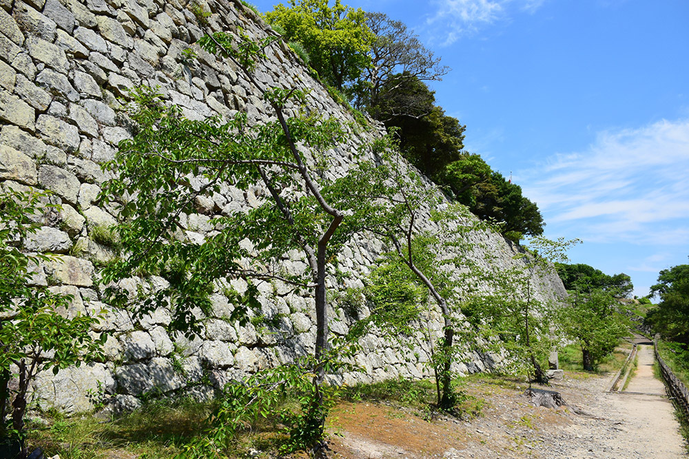 築城400周年の明石城を歩く。 その3 <南帯郭>_e0158128_17144981.jpg