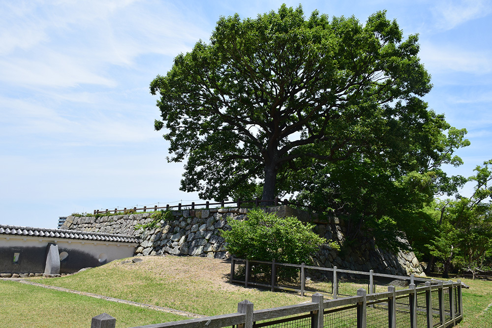 築城400周年の明石城を歩く。 その6 <本丸~天守台・人丸塚~>_e0158128_20051551.jpg