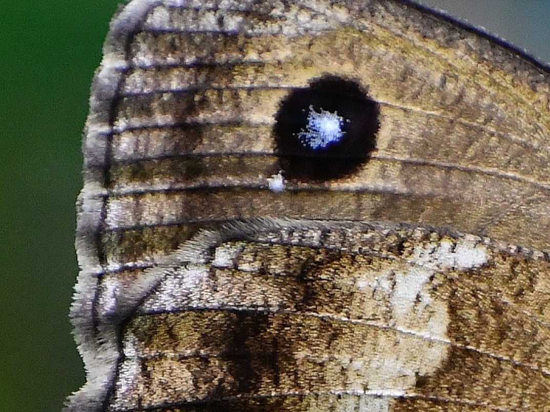 f0340732_20130442.jpg