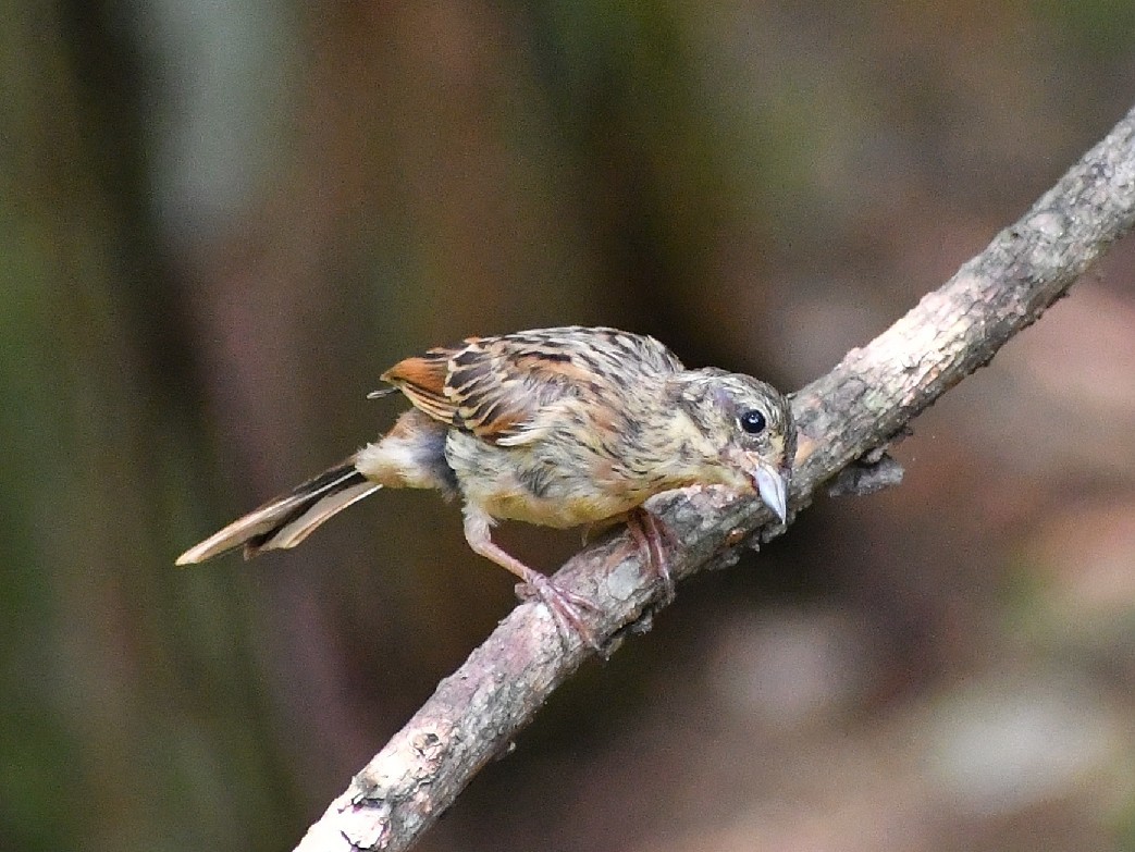 f0340732_20165158.jpg