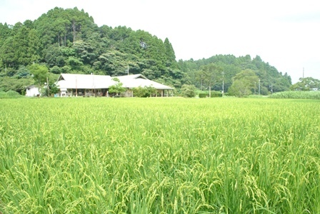 a0123836_15085003.jpg