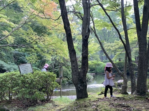 b0330040_07194422.jpeg