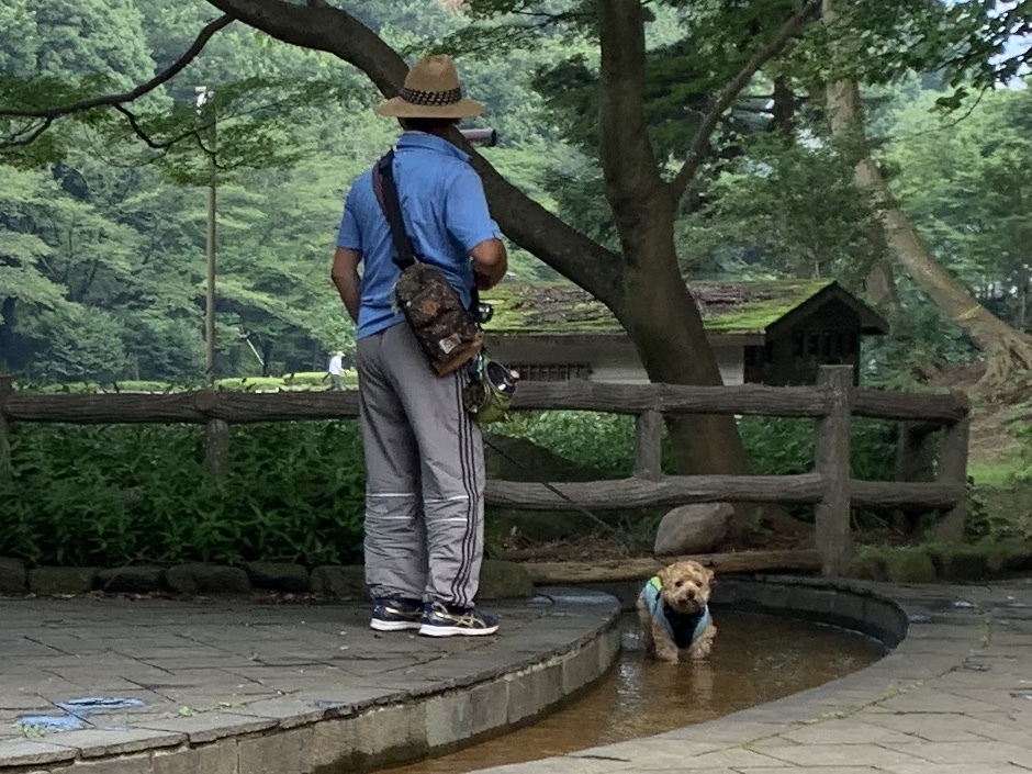 b0330040_07263000.jpeg