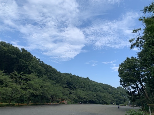 b0330040_07271824.jpeg
