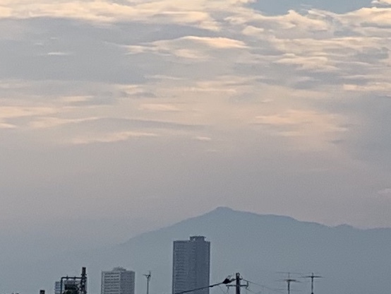b0330040_07381026.jpeg