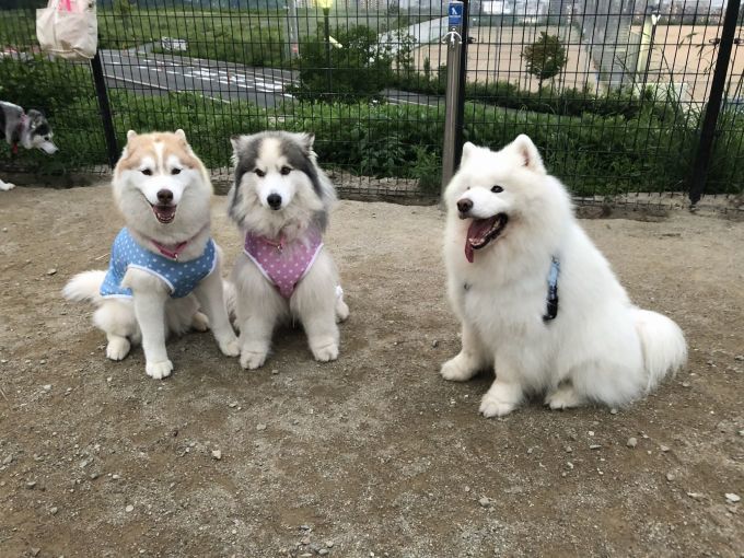 初ハス会参加させていただきました_f0128542_00020407.jpg