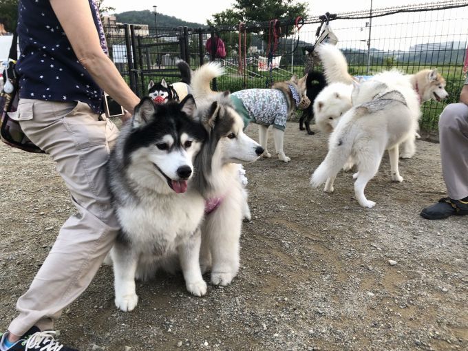 初ハス会参加させていただきました_f0128542_00174639.jpg