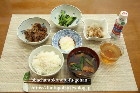 トリプルヨーグルト&今日の御出勤御膳&最近のシャーベット_c0326245_11271935.jpg